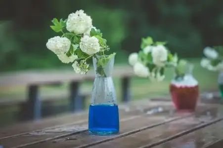 Renkli boyalı su.webp
