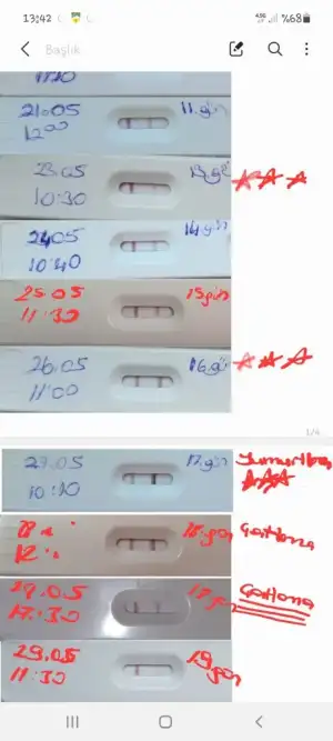 Screenshot_20210612-134259_Samsung Notes.webp