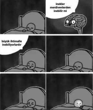 E08DrqwWUAMZUld.webp