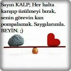 $g&#252;n s&#246;z.webp