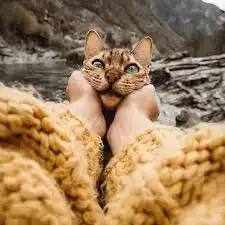images (5).webp