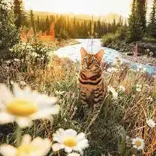 images (4).webp
