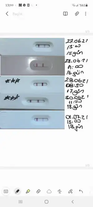 Screenshot_20210701-130057_Samsung Notes.webp
