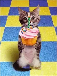 $Birthday-Cat.webp