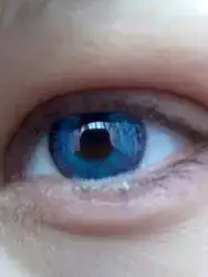 $090420111580.webp