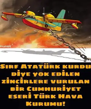 FB_IMG_1627928129978.webp