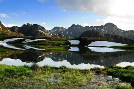 1628057096569.webp