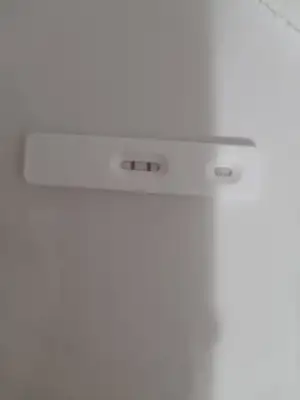 16291007437458384980934468906508.webp