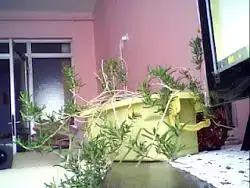$10%20May%202012%2010_43_22.webp