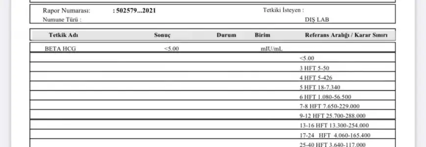 CCFB1731-51BB-40C6-94C3-056AAB8A35C9.webp