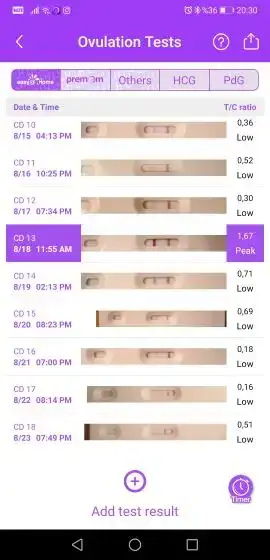 451291.webp 451291.webp