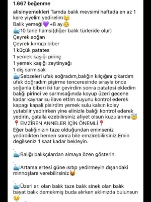 D1C82C8C-888B-41F8-BA08-0BCF64B4E604.webp