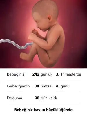 F0E01FF6-2C53-4E96-9763-EE3C22ED266D.webp