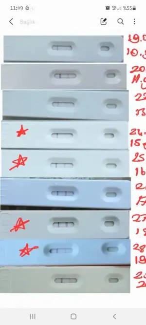 Screenshot_20210829-110922_Samsung Notes.webp