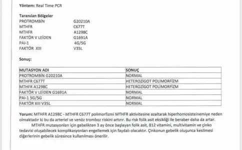 46D8C307-B7FE-4BCC-8EBB-AE5E35B1406D.webp