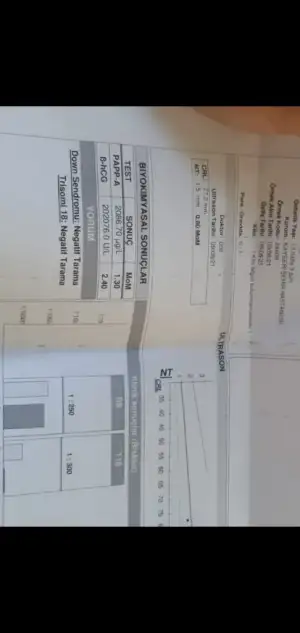 Screenshot_20210902-040003_WhatsApp.webp