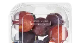 Screenshot from 2021-09-02 08-49-33.webp