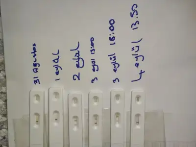 IMG_20210904_134342.webp