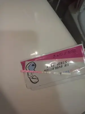 16326869703357402717288521439017.webp