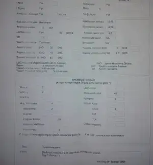 5EADC78D-9967-486B-AEFC-95227DA58F7F.webp