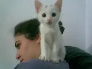 $Görüntü035.webp