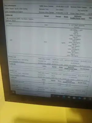 16330016245135419463789192777487.webp