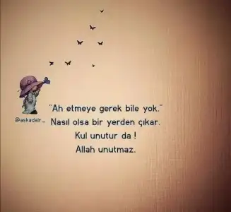 126687.webp