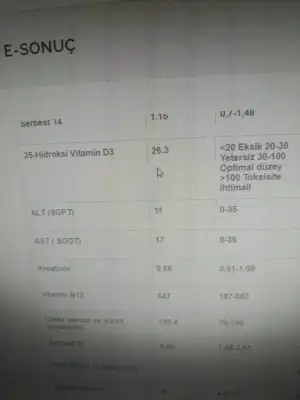 163360695189259264684358273123.webp