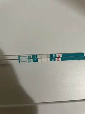 E4E0D031-9B70-4D9D-96CA-F919B75A0653.webp