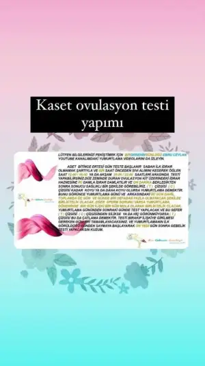 BD14D01B-B097-4D4F-9699-4FE715D5711F.webp