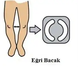 egribacaklar.webp