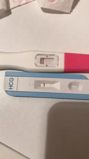 WhatsApp Image 2021-10-26 at 05.36.53.webp