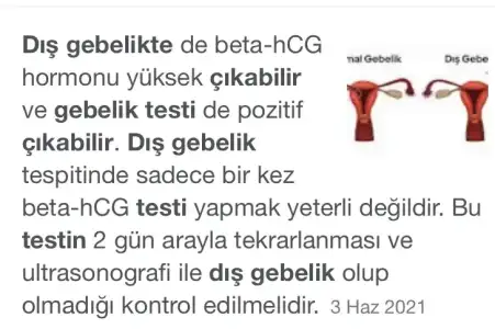 23C6AD7E-713E-4064-81E1-D5A15E11272D.webp
