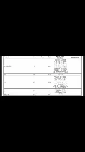 E427B65F-EC4F-47EF-BC2C-47190F3EDF53.webp
