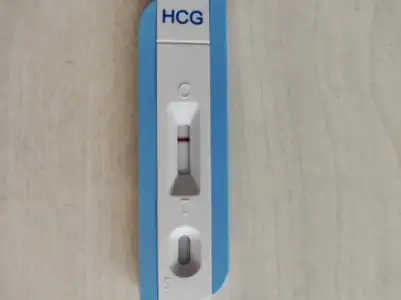 WhatsApp Image 2021-11-01 at 12.54.04.webp