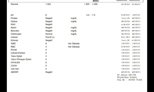 IMG_20211102_165319.webp