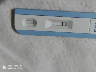 IMG_20211013_074711 (1).webp