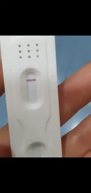 Screenshot_20211114-154913_Motion photo viewer.webp