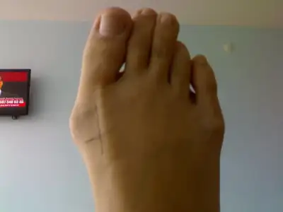 $010220121088.webp