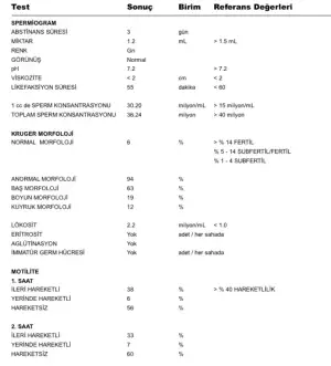 FE52145F-1981-48E2-AC69-69AB2A75385D.webp