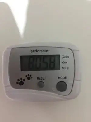 97F9DA1E-2031-4A75-9E9D-C187FDDFFDE6.jpeg