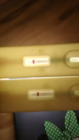 IMG-20211125-WA0013.webp