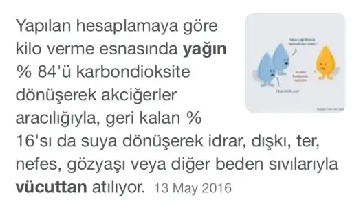 1A2D3AC5-965D-41B6-8C9E-DEE93A0C8C9B.webp