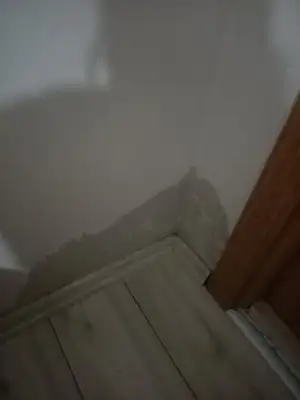 IMG20211130000841.webp
