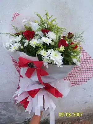 $4e1fc83636d4c472a13c387b056327b7.webp $4e1fc83636d4c472a13c387b056327b7.webp