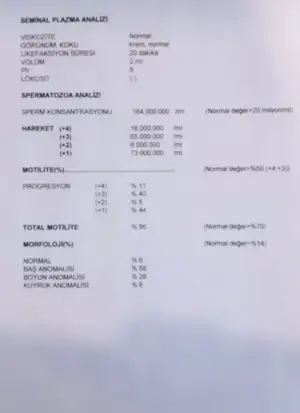 A83838AB-CB17-4744-90D9-B7942E0E067B.webp