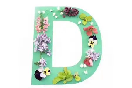 d-harfiyle-baslayan-kiz-isimleri.webp