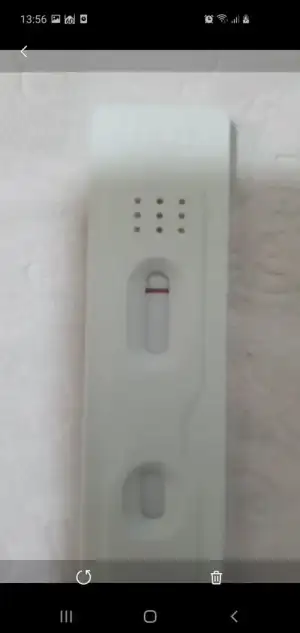Screenshot_20211211-135634_Gallery.webp