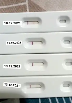 Screenshot_2021-12-13-21-38-51-56.webp