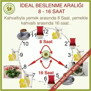 32253842_1545875265522198_5995682299771879424_n.webp